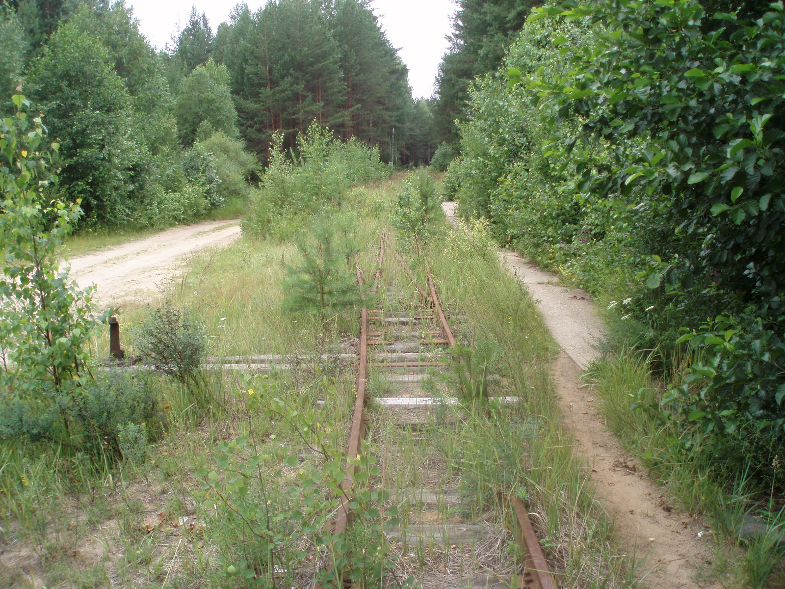 Узкоколейная железная дорога Отворского торфопредприятия  —  фотографии, сделанные в 2007 году (часть 1)