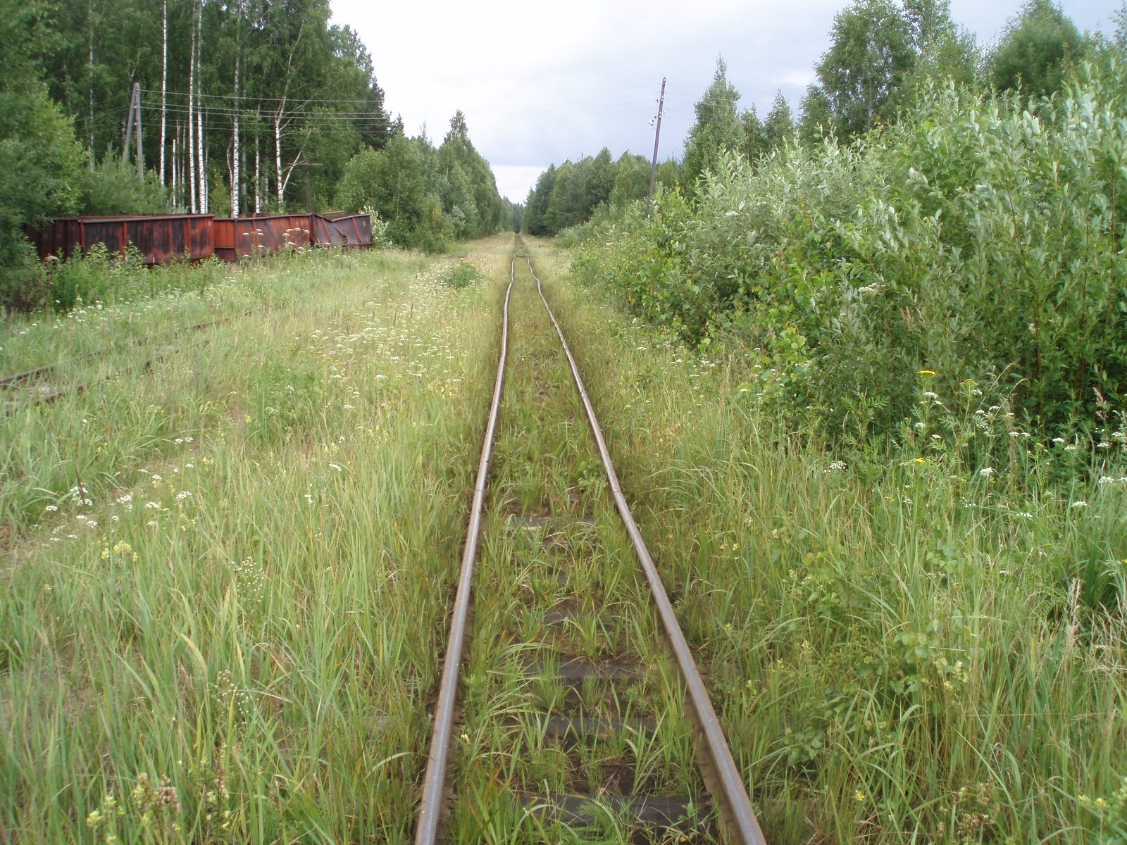Узкоколейная железная дорога Отворского торфопредприятия  —  фотографии, сделанные в 2007 году (часть 11)