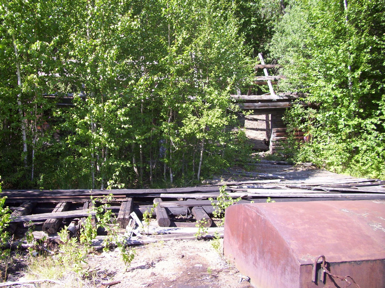 Пуксинская узкоколейная железная дорога — фотографии, сделанные в 2010 году (часть 6)