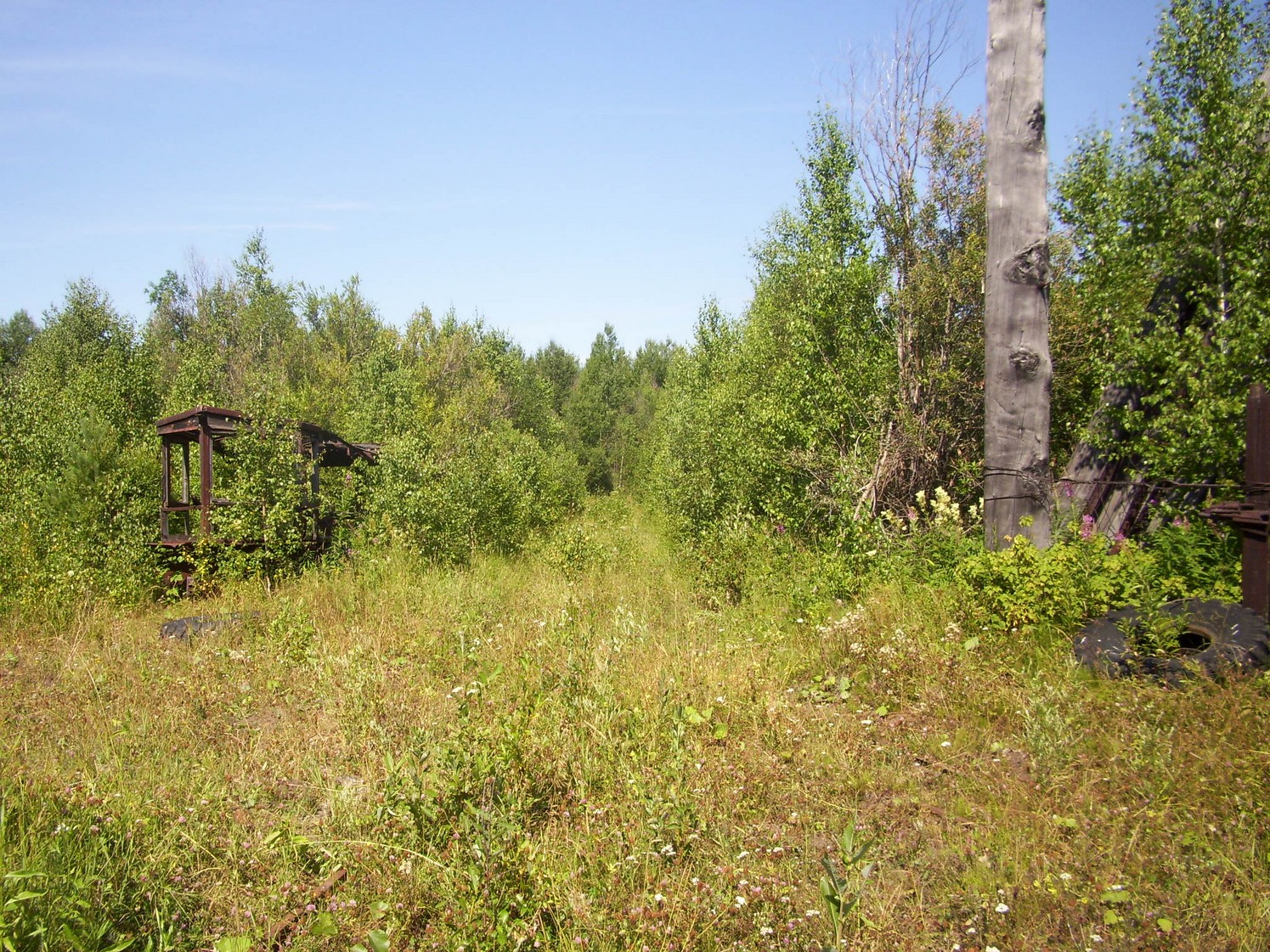Пуксинская узкоколейная железная дорога — фотографии, сделанные в 2010 году (часть 7)