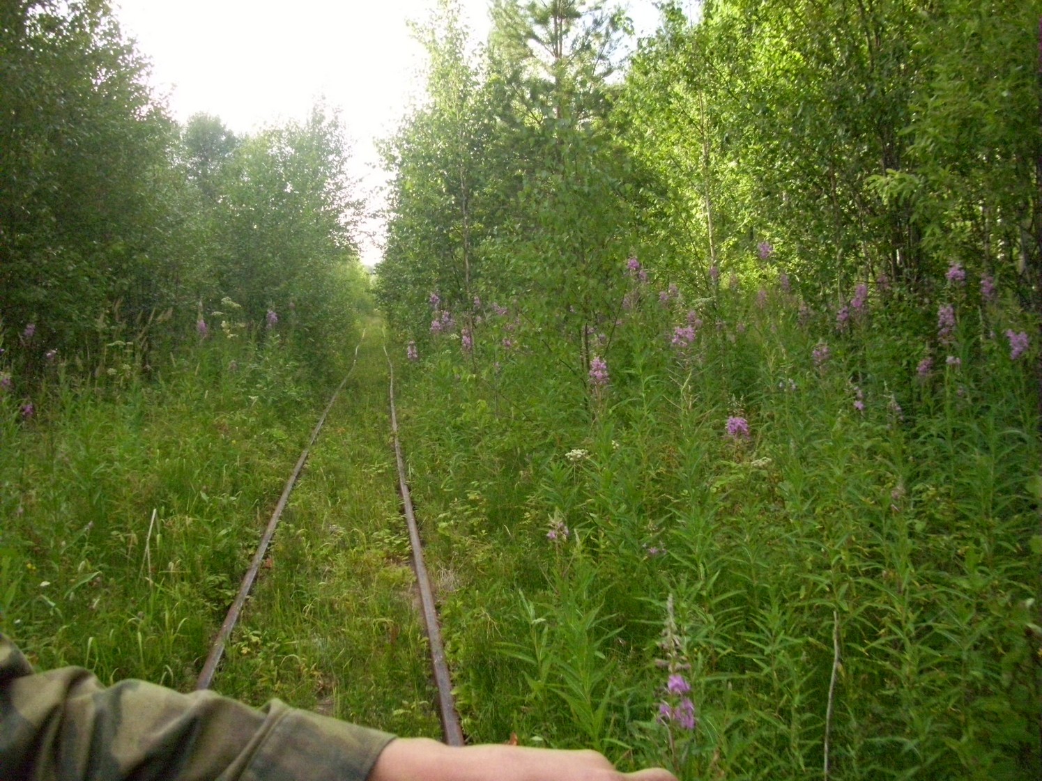 Пуксинская узкоколейная железная дорога — фотографии, сделанные в 2010 году (часть 12)