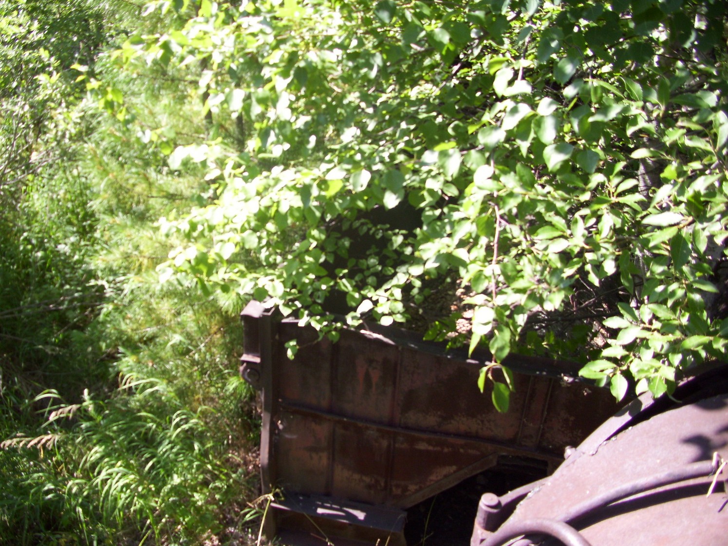 Пуксинская узкоколейная железная дорога — фотографии, сделанные в 2010 году (часть 4)