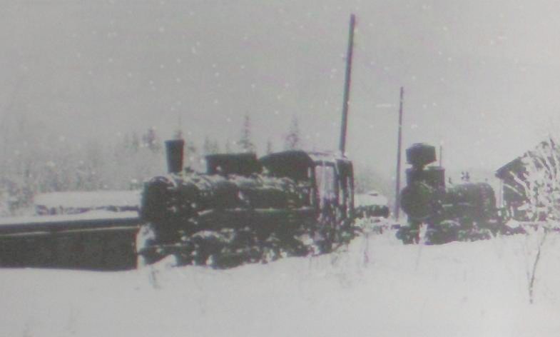 Пуксинская узкоколейная железная дорога