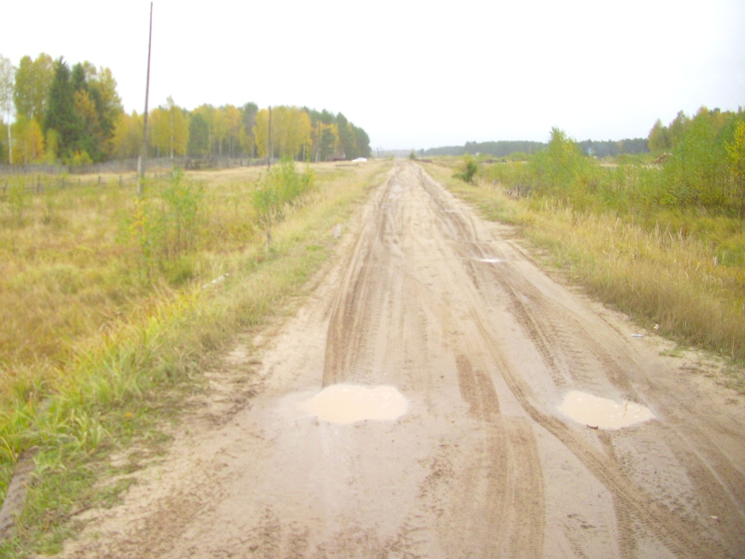 Шестаковская узкоколейная железная дорога  —  фотографии, сделанные в 2011 году