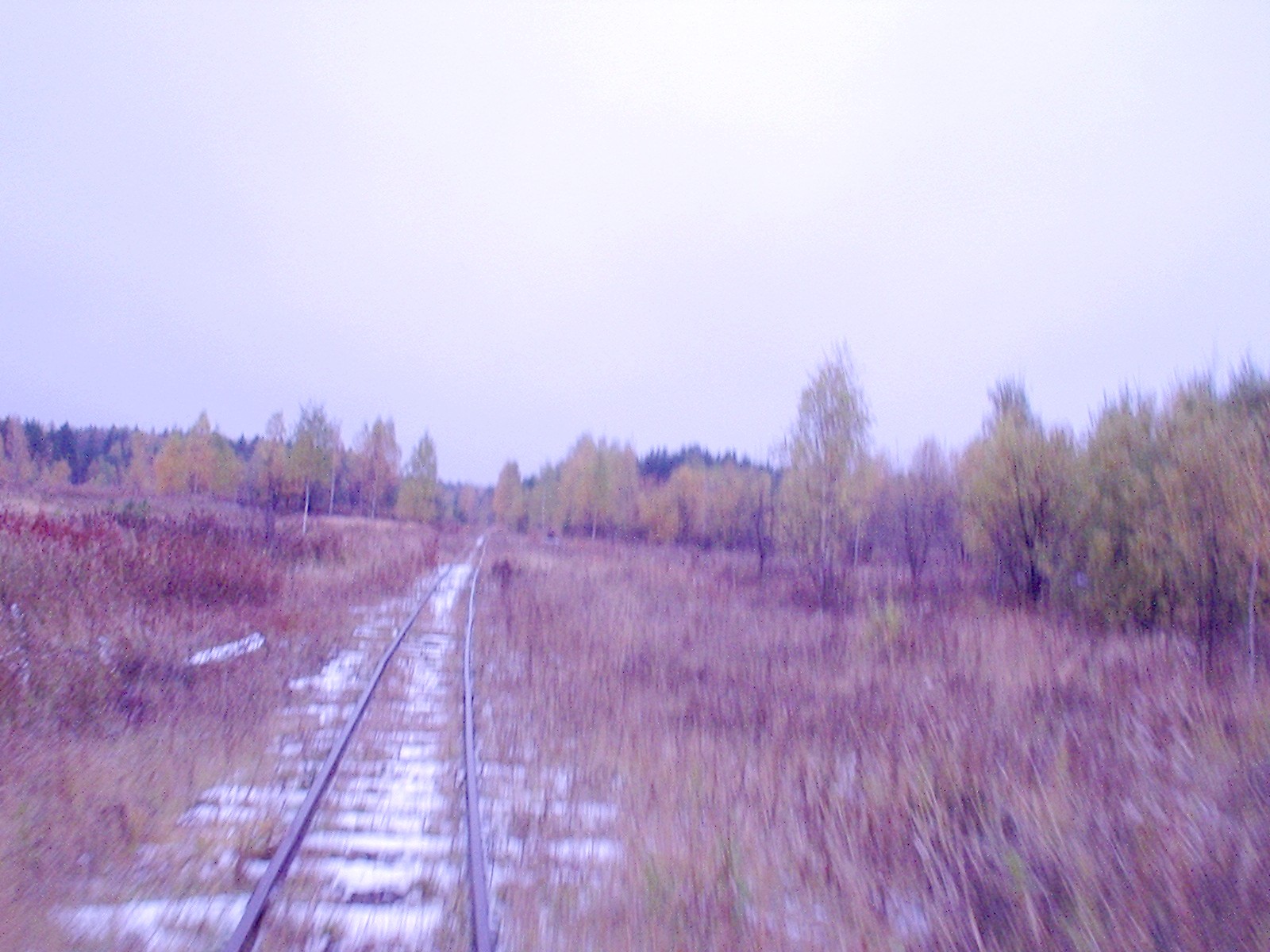 Соловьёвская узкоколейная железная дорога  —  фотографии, сделанные в 2006 году (часть 6)