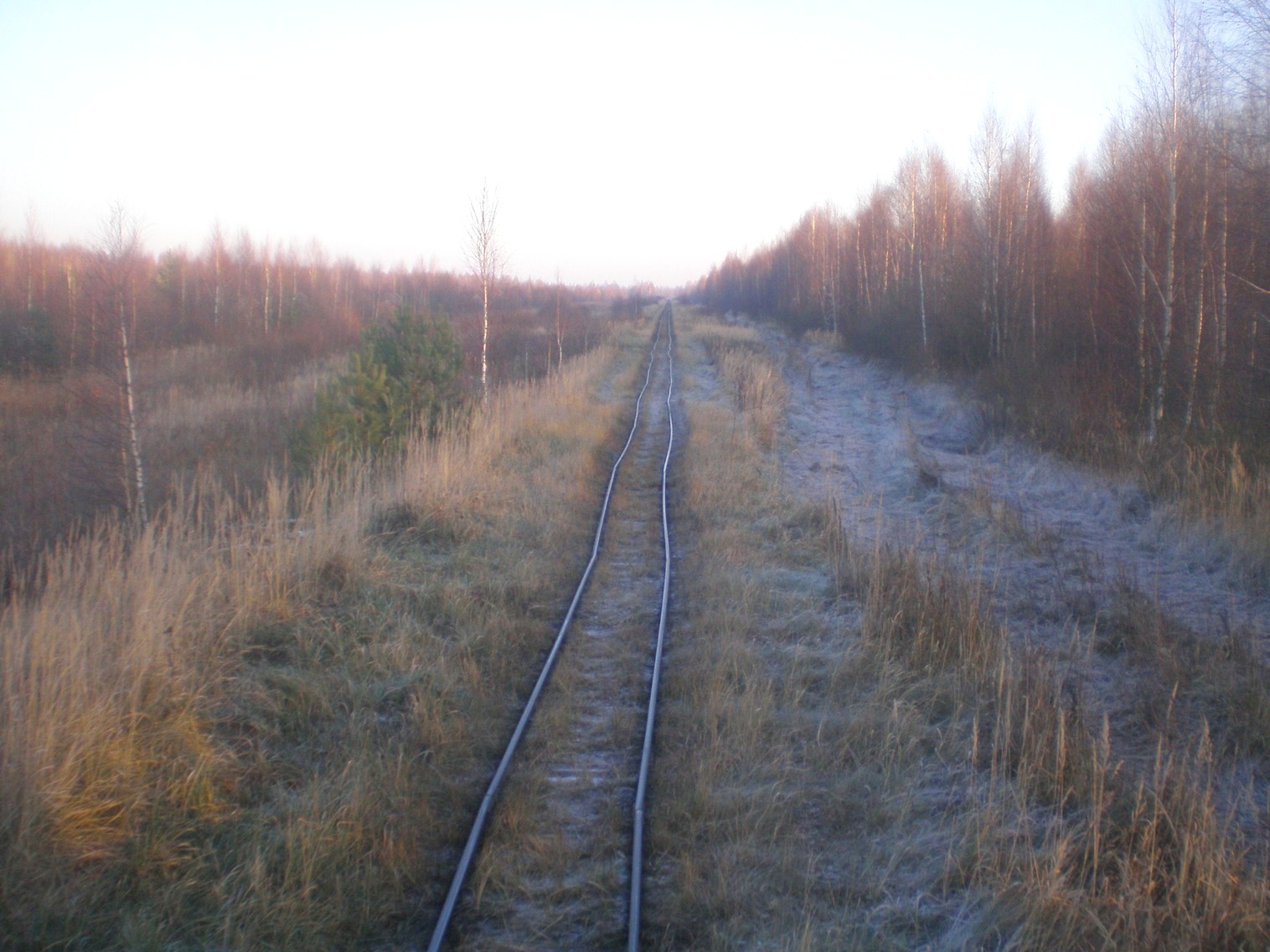Узкоколейная железная дорога торфопредприятия «Усвиж-Бук» 
  —  фотографии, сделанные в 2008 году (часть 4)