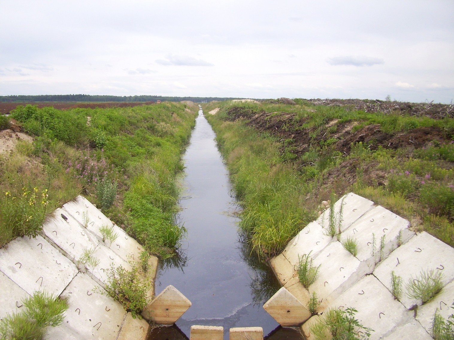 Узкоколейная железная дорога Берёзовского торфопредприятия  —  фотографии, сделанные в 2011 году (часть 12)