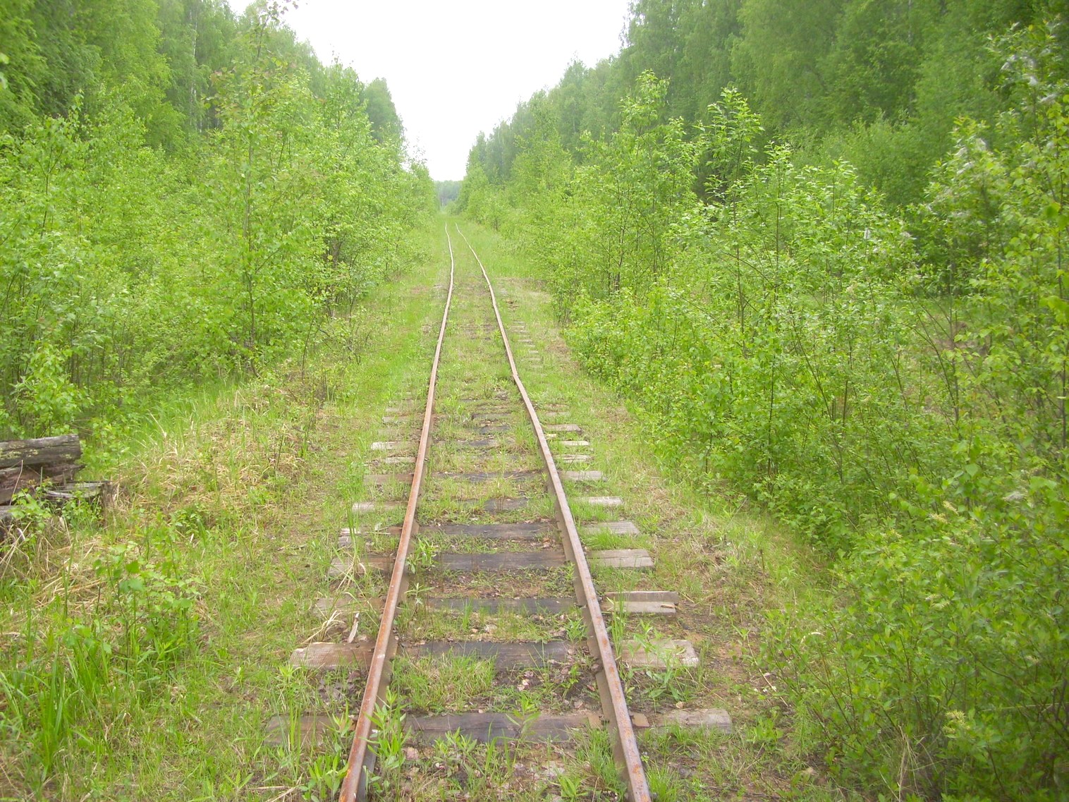 Зебляковская узкоколейная железная дорога
  —  фотографии, сделанные в 2010 году (часть 10)