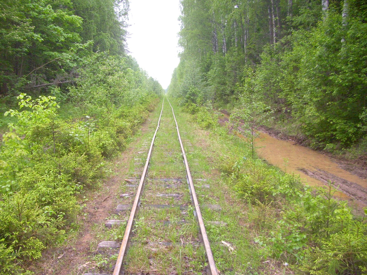 Зебляковская узкоколейная железная дорога
  —  фотографии, сделанные в 2010 году (часть 11)