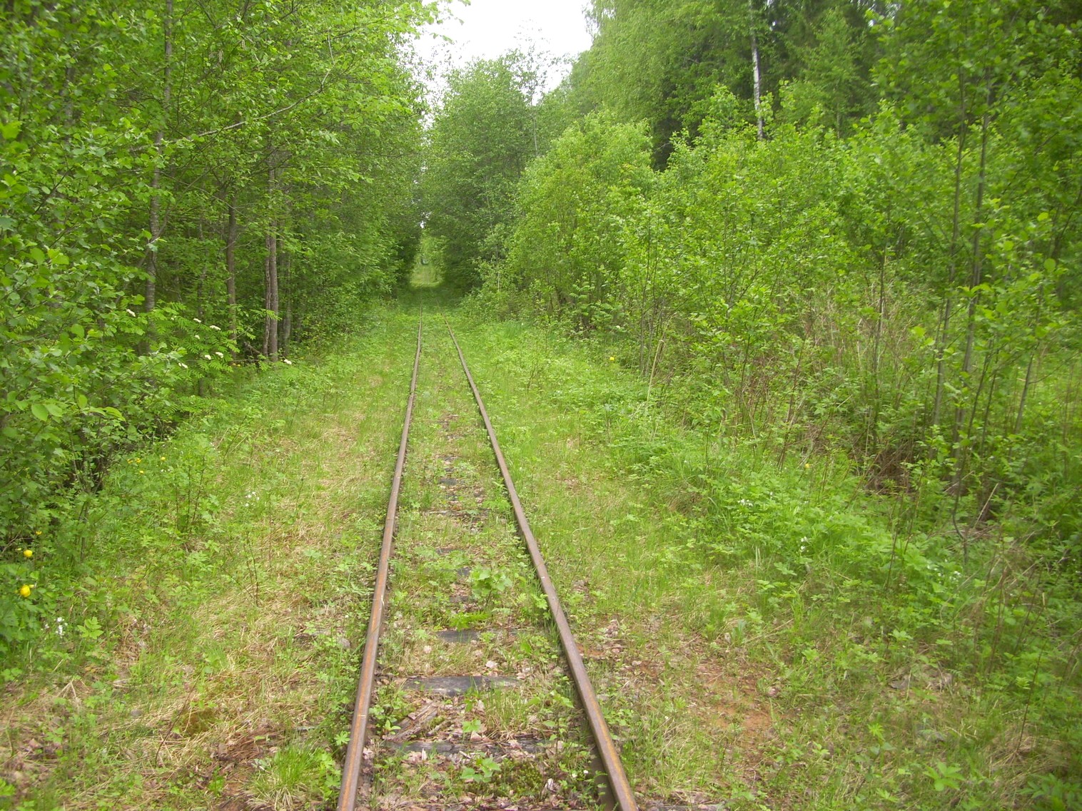 Зебляковская узкоколейная железная дорога
  —  фотографии, сделанные в 2010 году (часть 13)