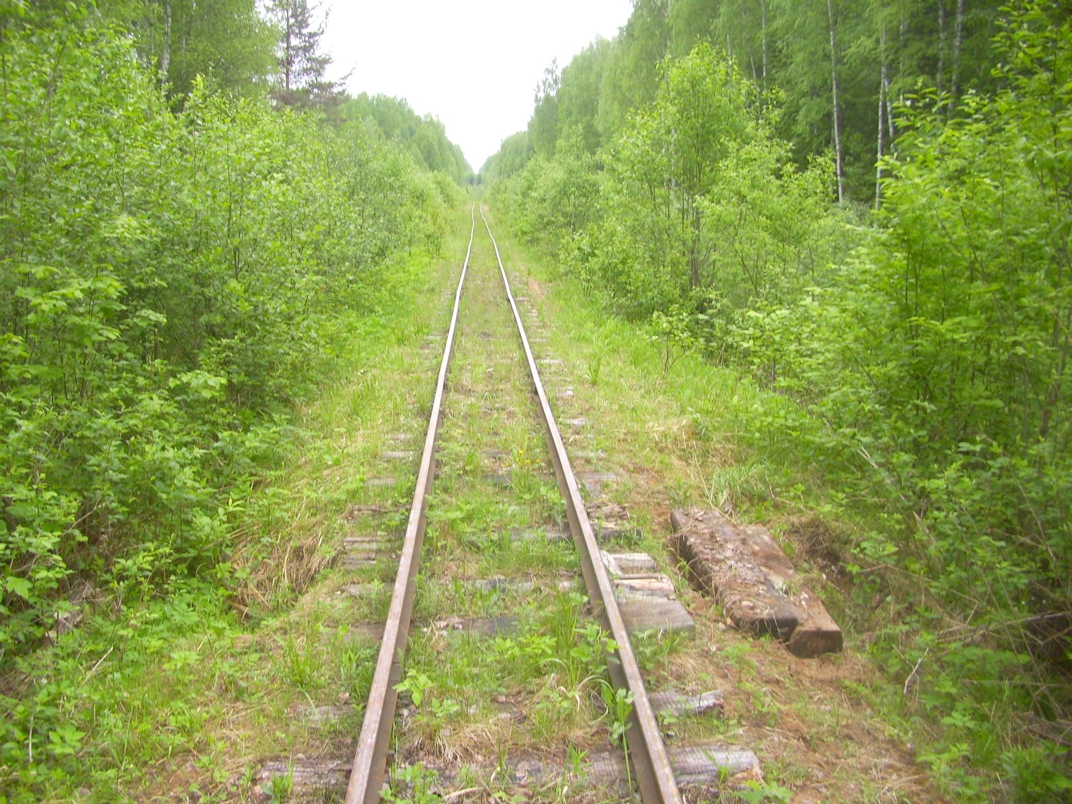 Зебляковская узкоколейная железная дорога
  —  фотографии, сделанные в 2010 году (часть 14)