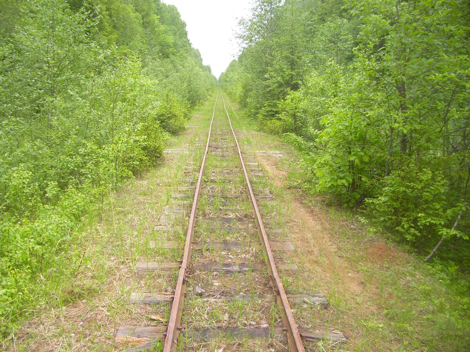 Зебляковская узкоколейная железная дорога
  —  фотографии, сделанные в 2010 году (часть 16)