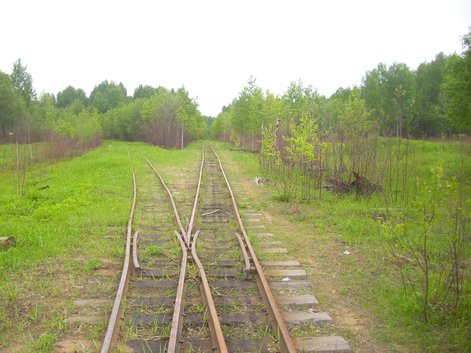 Зебляковская узкоколейная железная дорога
  —  фотографии, сделанные в 2010 году (часть 17)