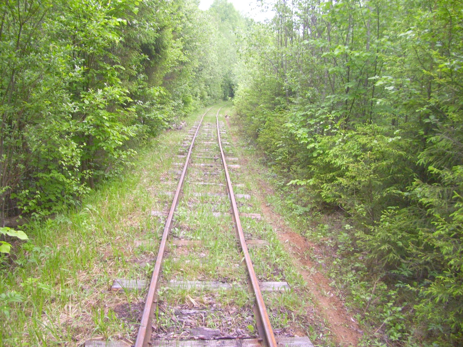 Зебляковская узкоколейная железная дорога
  —  фотографии, сделанные в 2010 году (часть 18)