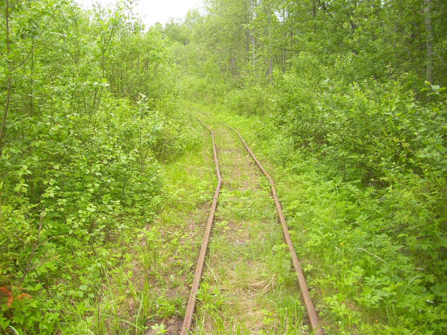 Зебляковская узкоколейная железная дорога
  —  фотографии, сделанные в 2010 году (часть 19)