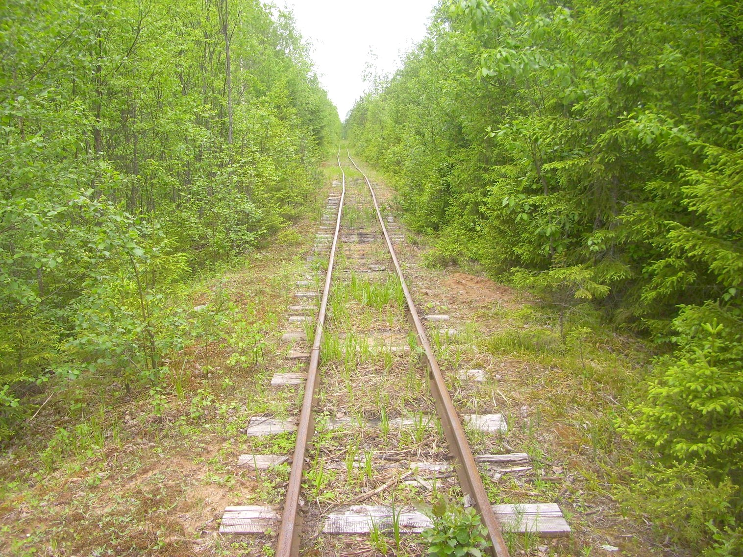 Зебляковская узкоколейная железная дорога
  —  фотографии, сделанные в 2010 году (часть 20)