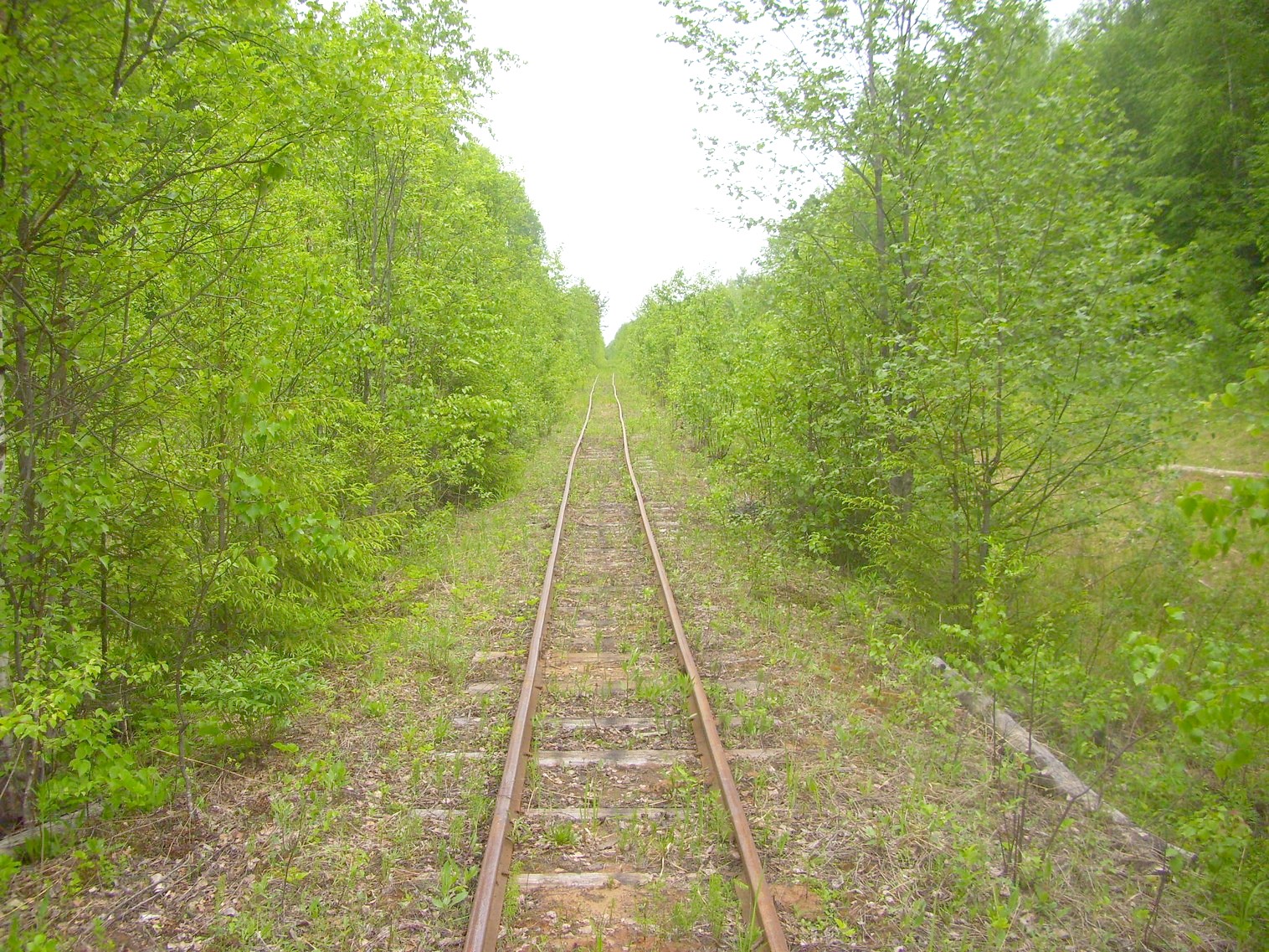 Зебляковская узкоколейная железная дорога
  —  фотографии, сделанные в 2010 году (часть 21)