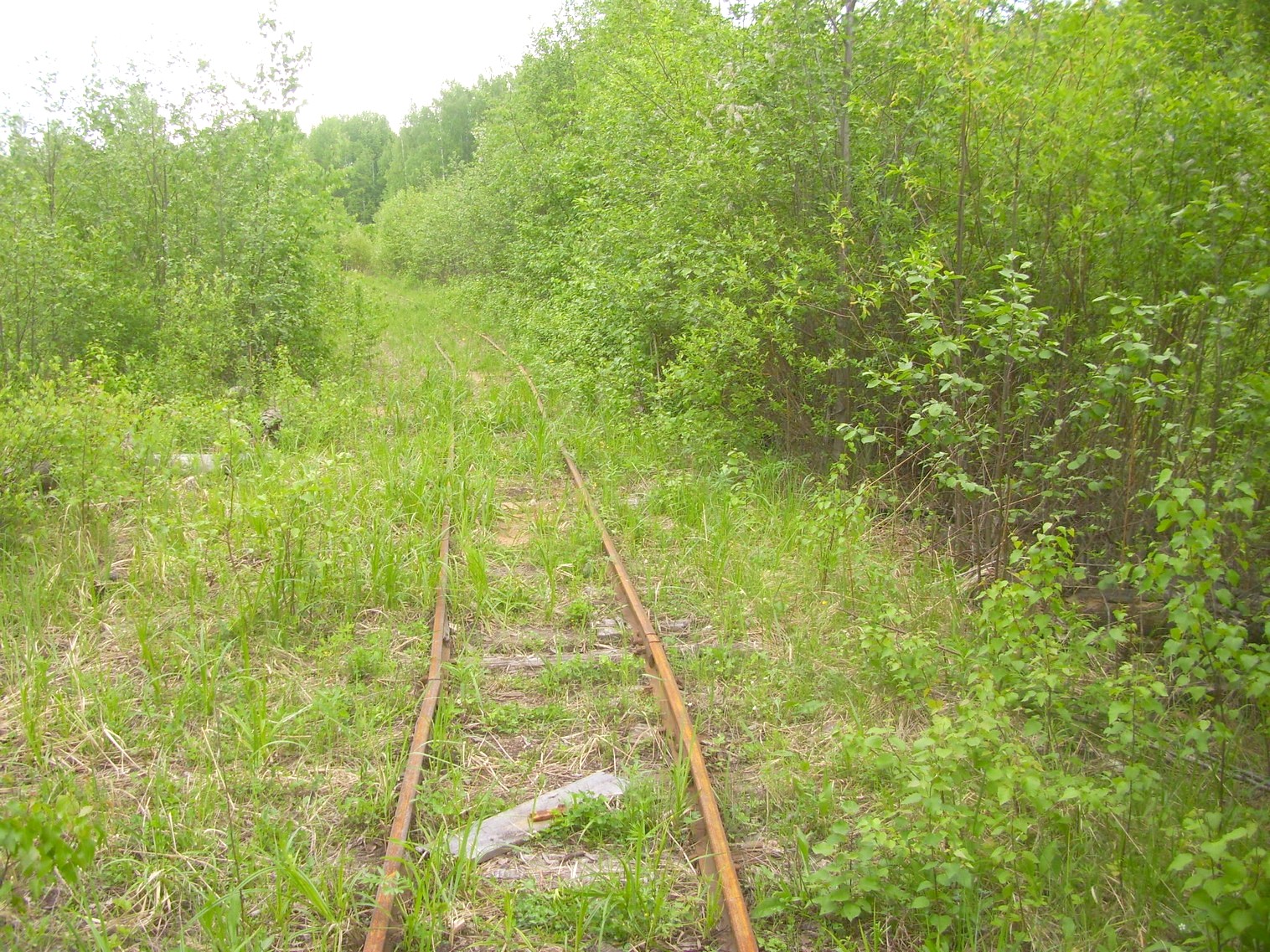 Зебляковская узкоколейная железная дорога
  —  фотографии, сделанные в 2010 году (часть 25)