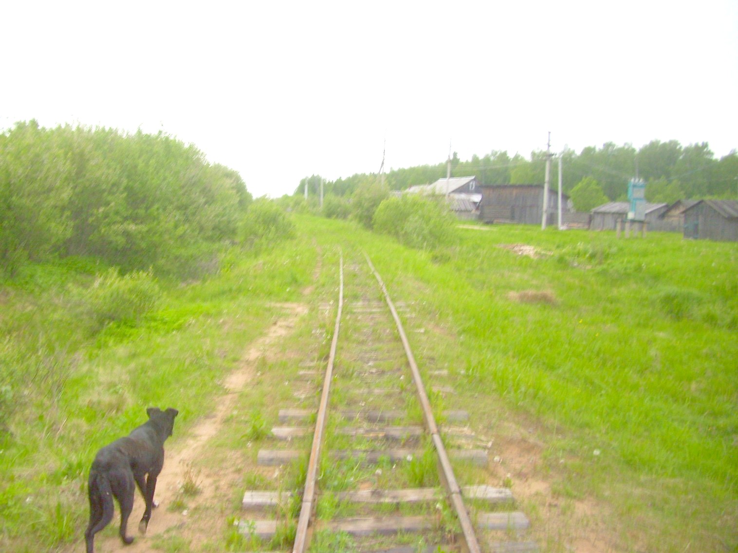 Зебляковская узкоколейная железная дорога
  —  фотографии, сделанные в 2010 году (часть 5)