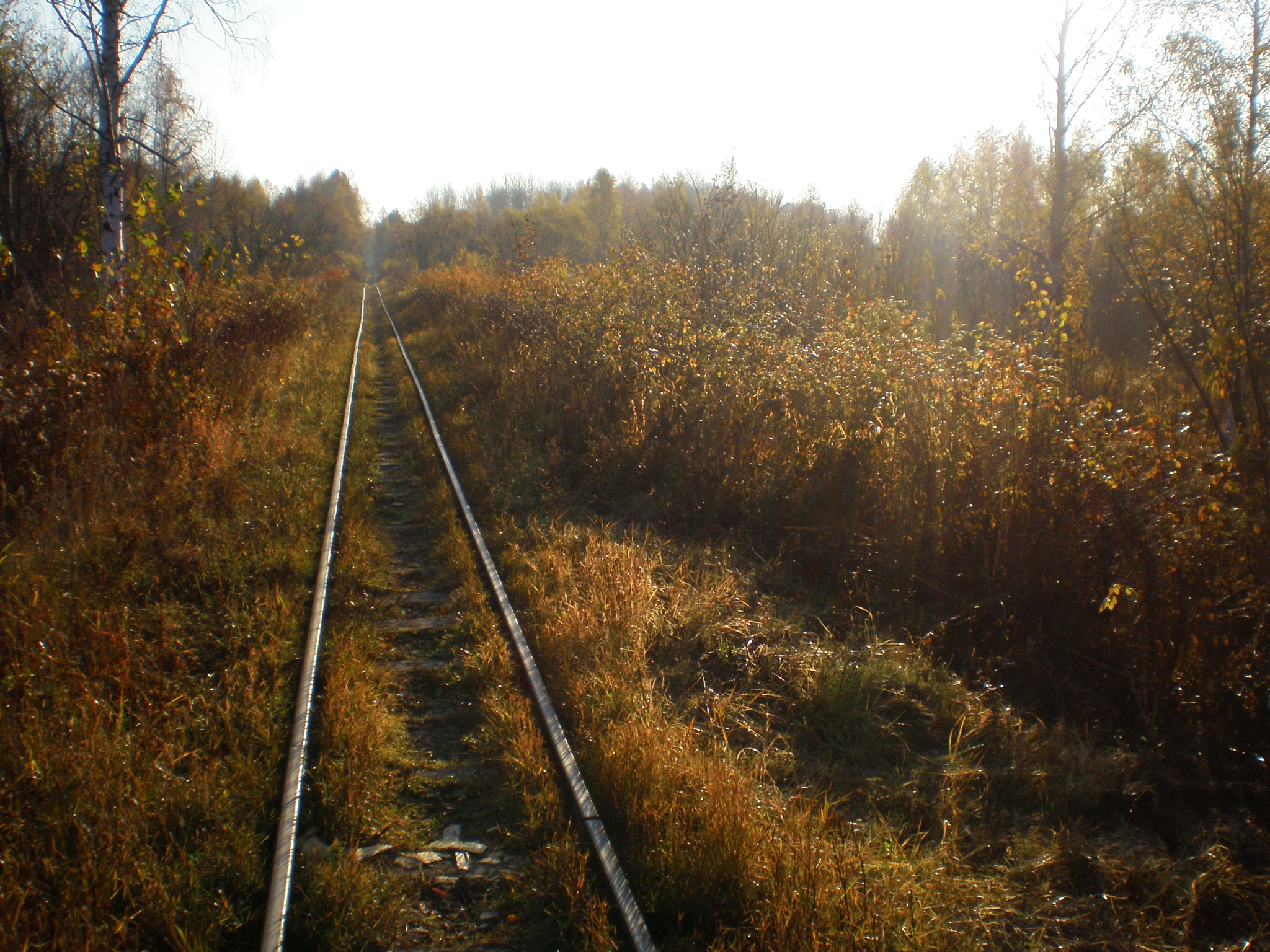 Алапаевская узкоколейная железная дорога — фотографии, сделанные в 2007 году (часть 54)