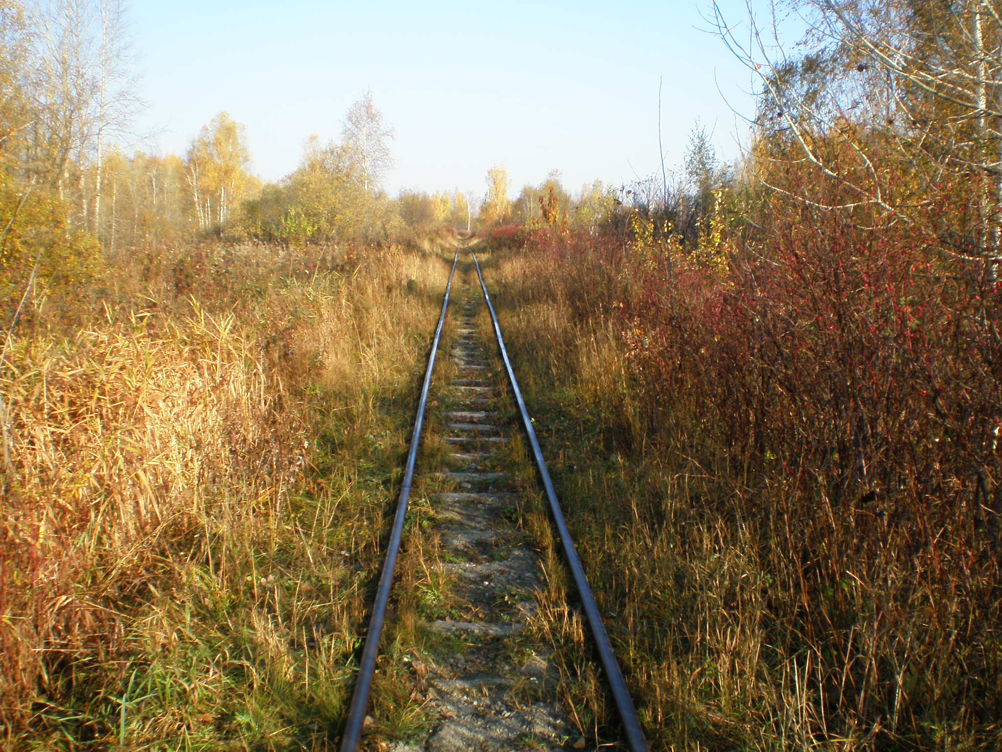 Алапаевская узкоколейная железная дорога — фотографии, сделанные в 2007 году (часть 56)