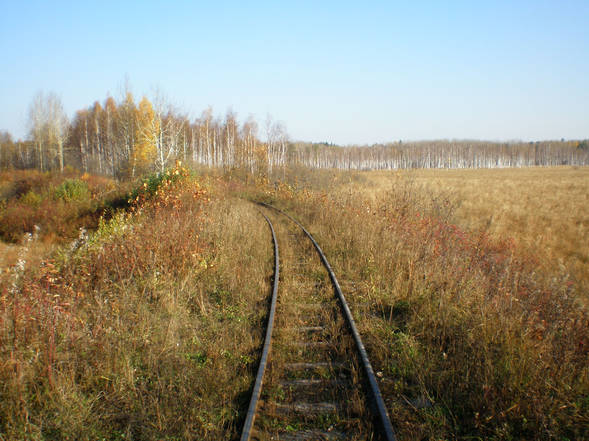 Алапаевская узкоколейная железная дорога — фотографии, сделанные в 2007 году (часть 59)