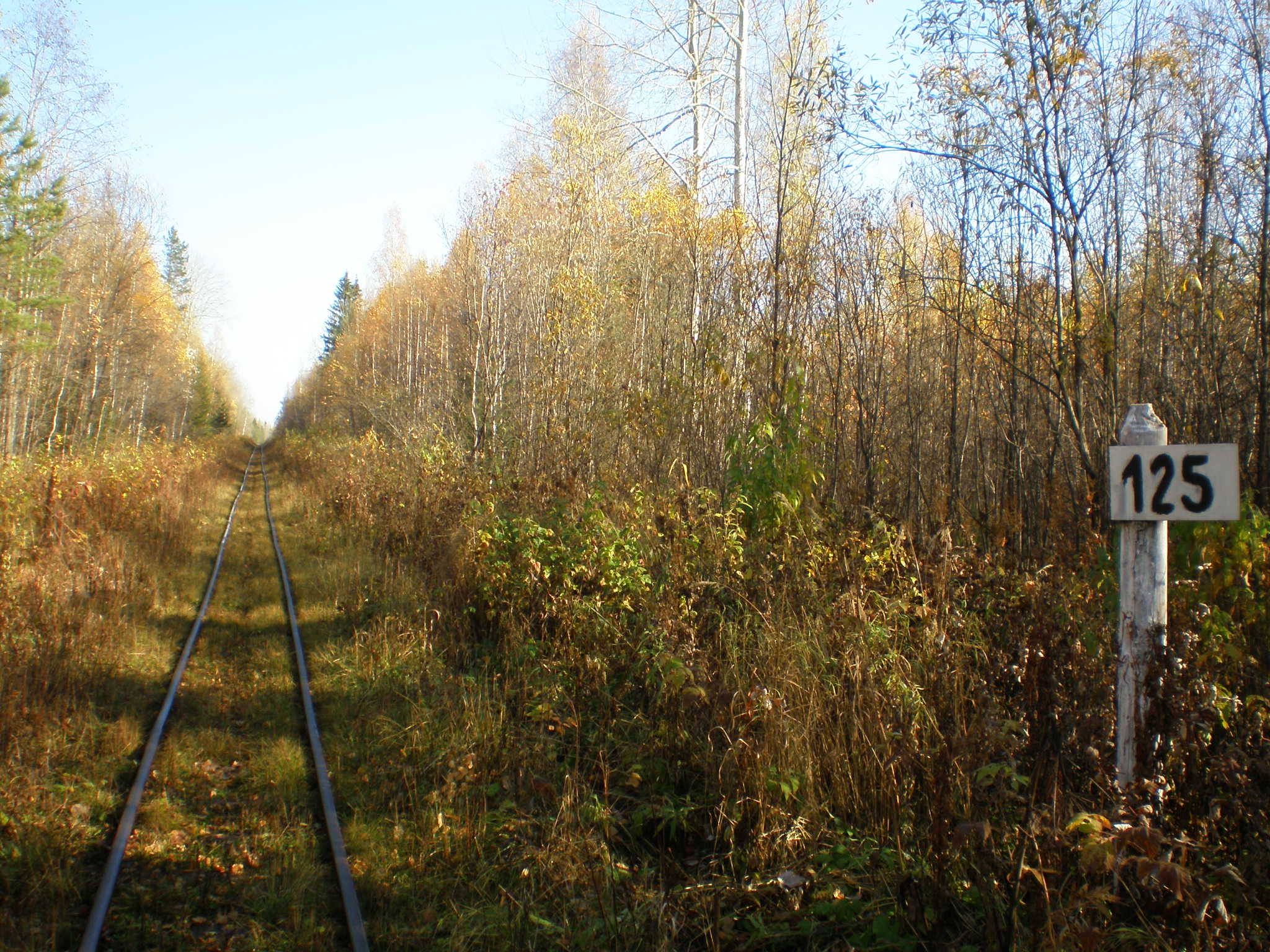 Алапаевская узкоколейная железная дорога — фотографии, сделанные в 2007 году (часть 61)