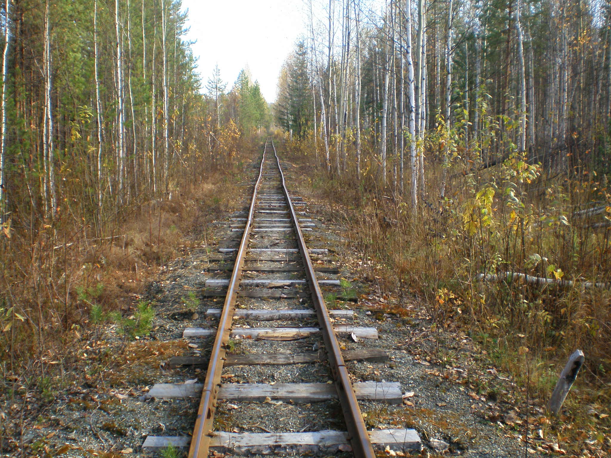 Алапаевская узкоколейная железная дорога — фотографии, сделанные в 2007 году (часть 63)
