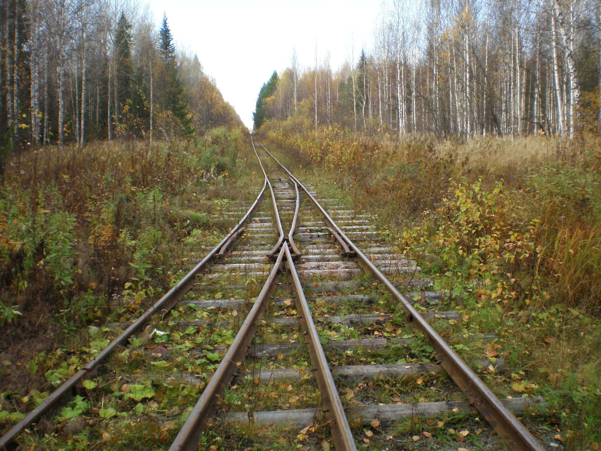 Алапаевская узкоколейная железная дорога — фотографии, сделанные в 2007 году (часть 65)