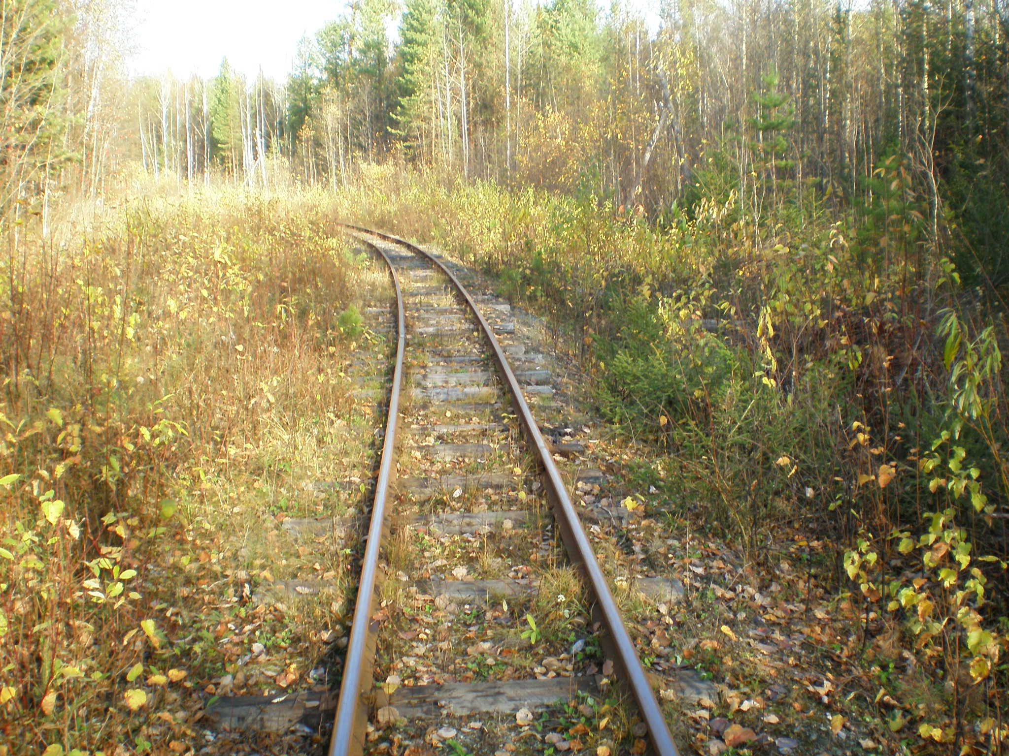 Алапаевская узкоколейная железная дорога — фотографии, сделанные в 2007 году (часть 66)