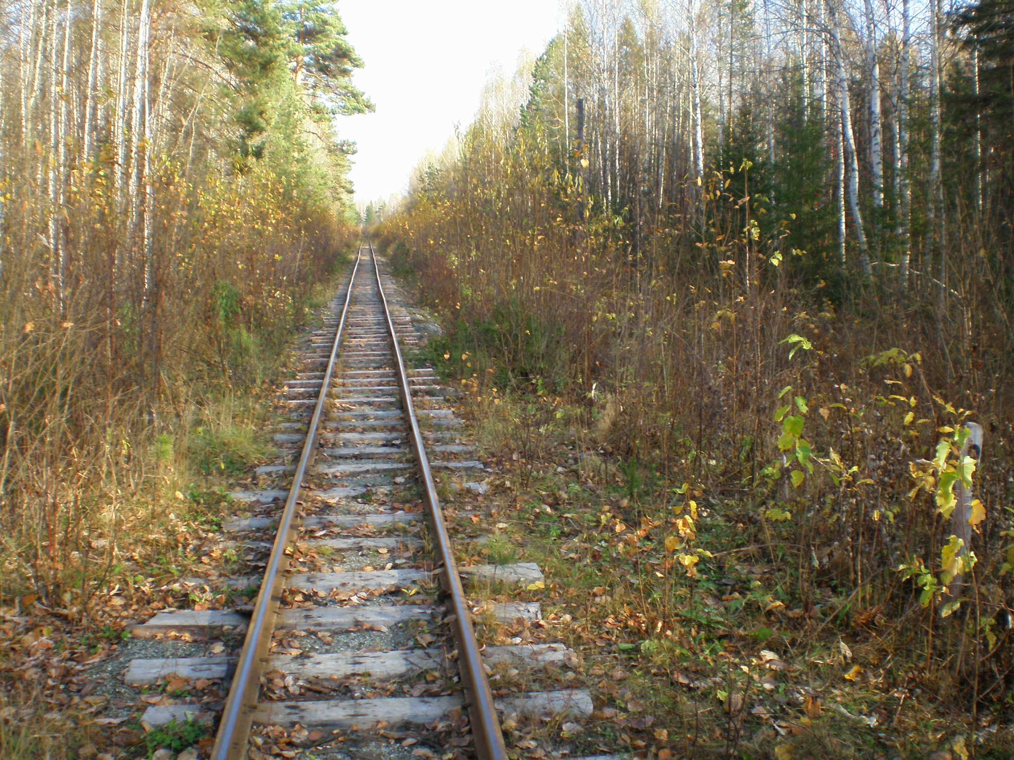 Алапаевская узкоколейная железная дорога — фотографии, сделанные в 2007 году (часть 67)