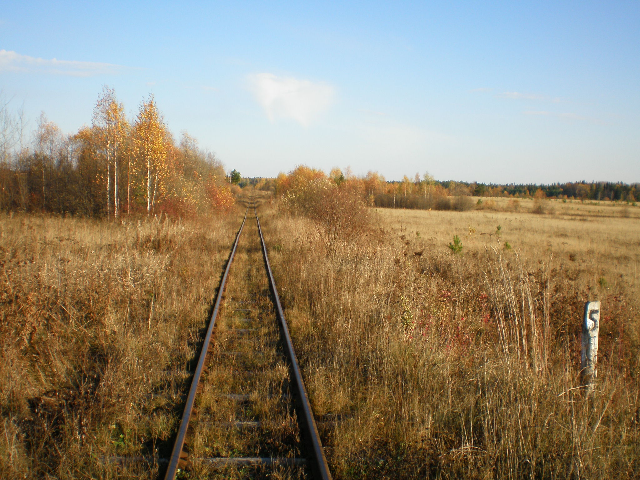 Алапаевская узкоколейная железная дорога — фотографии, сделанные в 2007 году (часть 69)