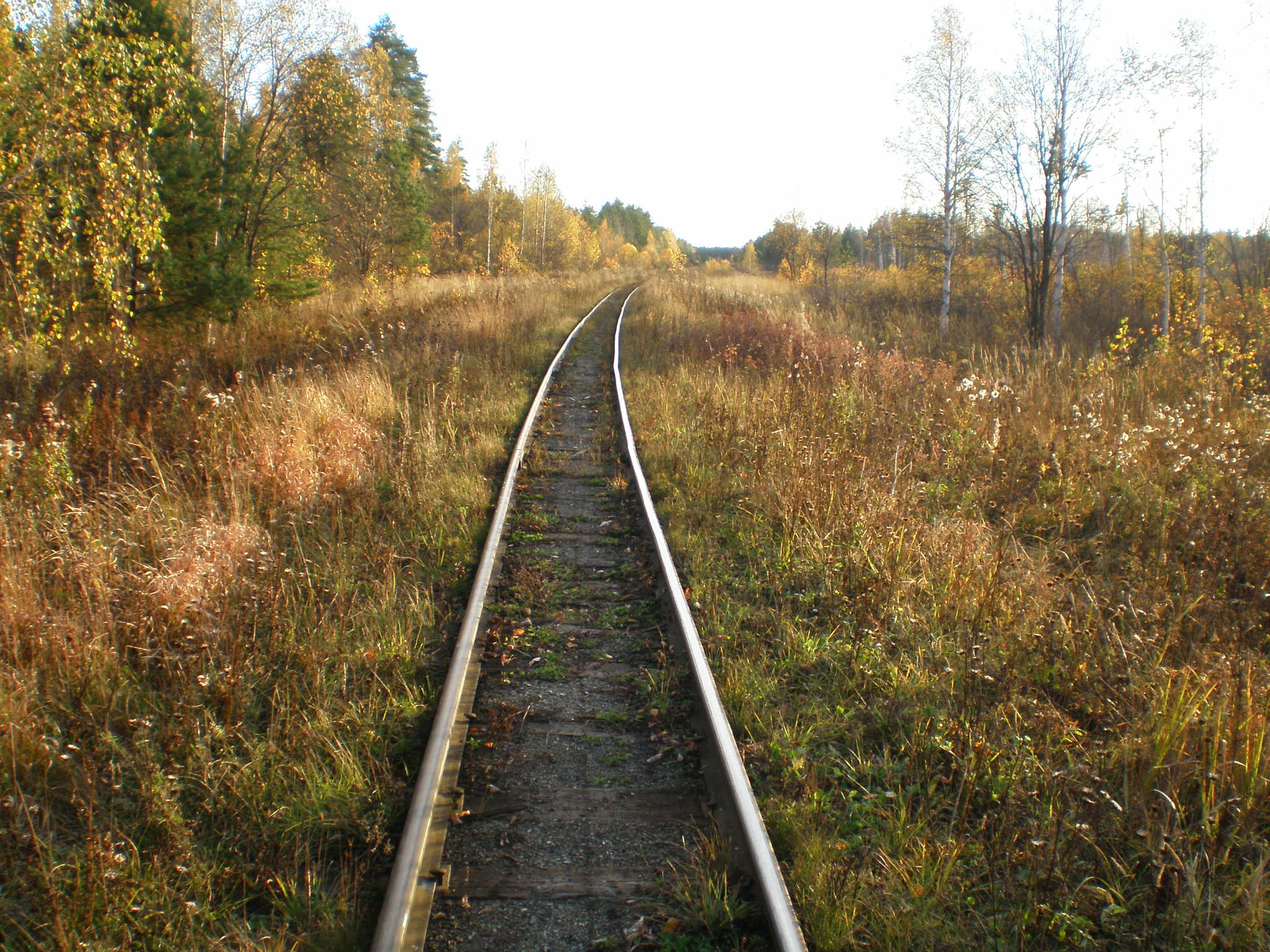 Алапаевская узкоколейная железная дорога — фотографии, сделанные в 2007 году (часть 23)
