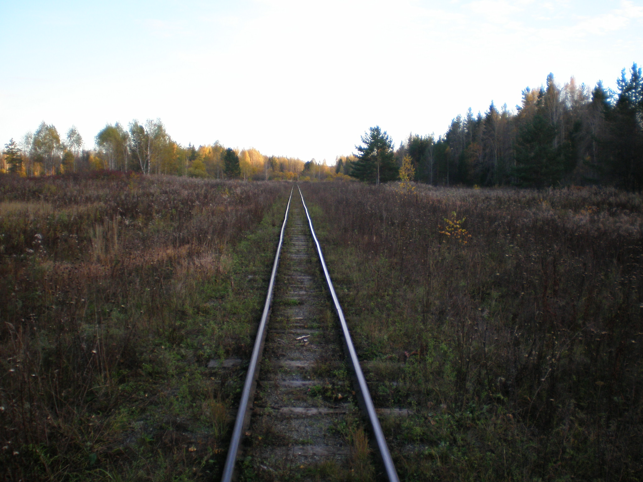 Алапаевская узкоколейная железная дорога — фотографии, сделанные в 2007 году (часть 24)