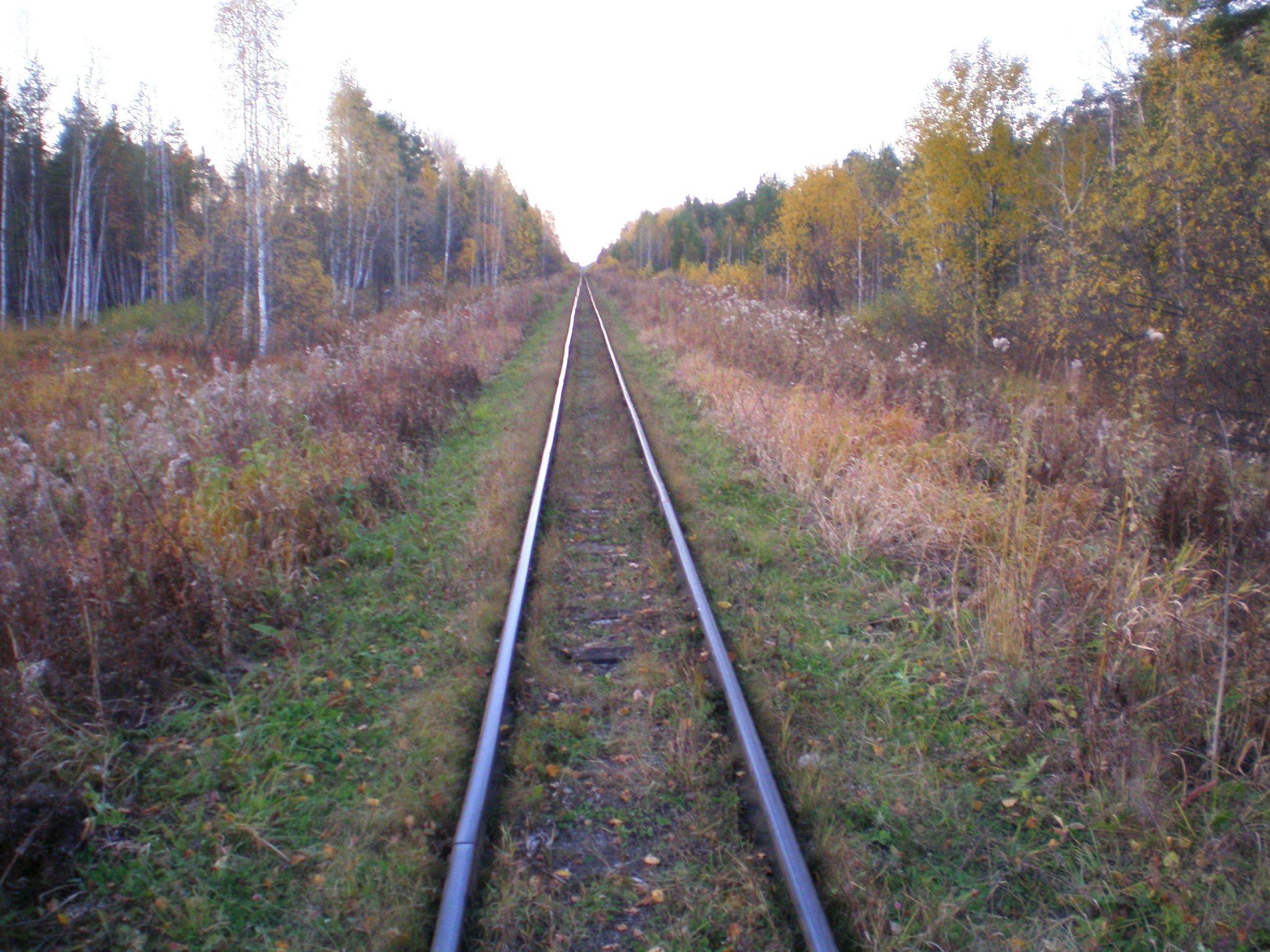 Алапаевская узкоколейная железная дорога — фотографии, сделанные в 2007 году (часть 25)