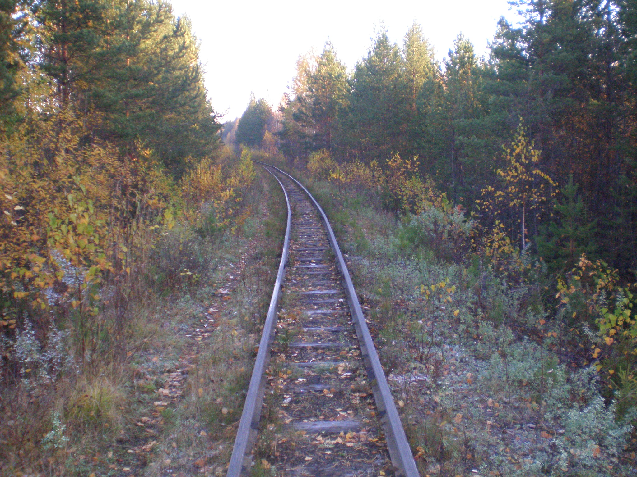 Алапаевская узкоколейная железная дорога — фотографии, сделанные в 2007 году (часть 29)