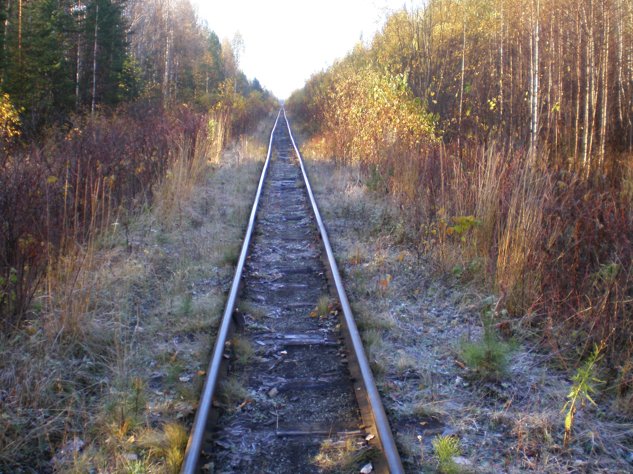 Алапаевская узкоколейная железная дорога — фотографии, сделанные в 2007 году (часть 31)