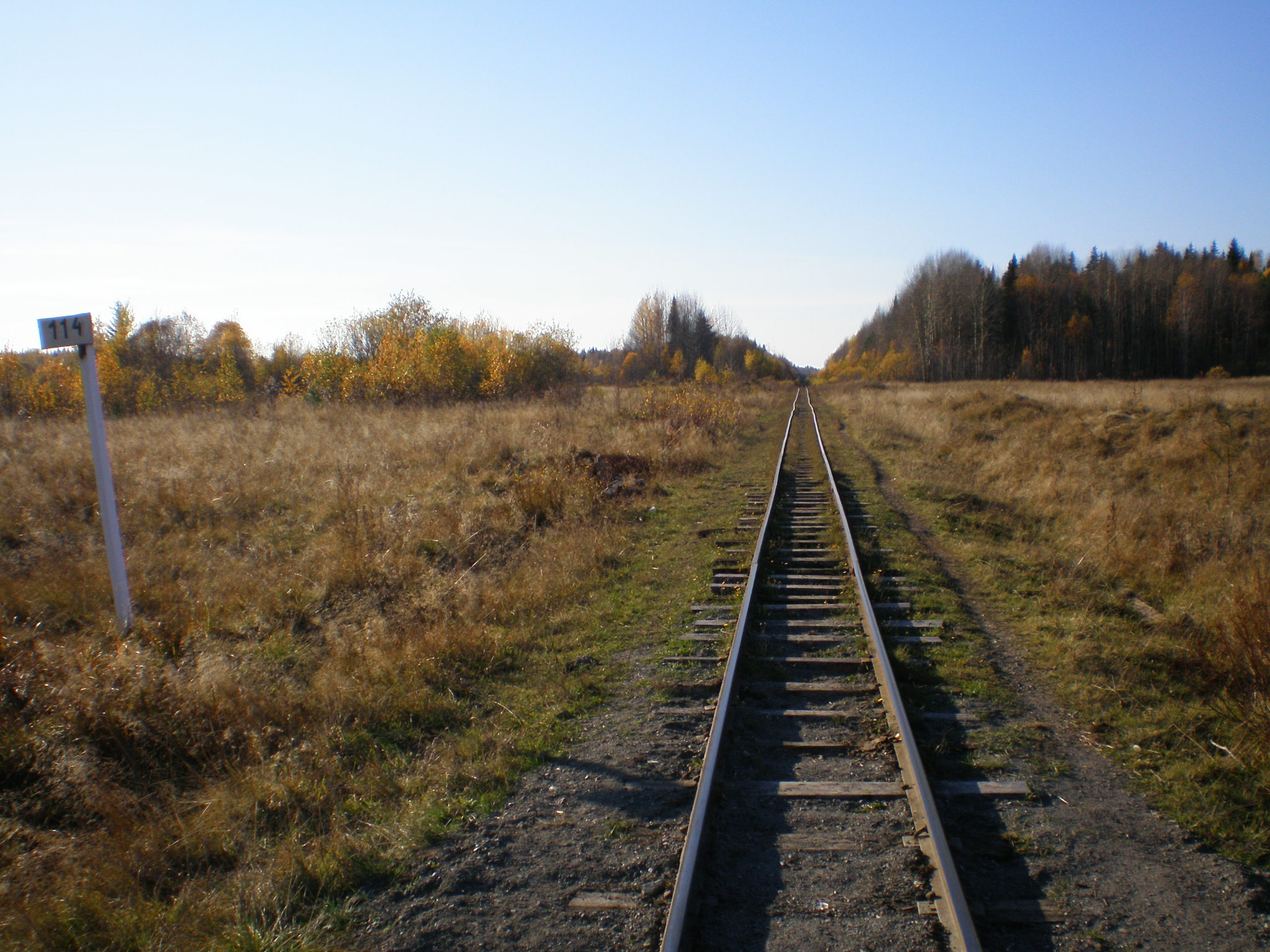 Алапаевская узкоколейная железная дорога — фотографии, сделанные в 2007 году (часть 43)