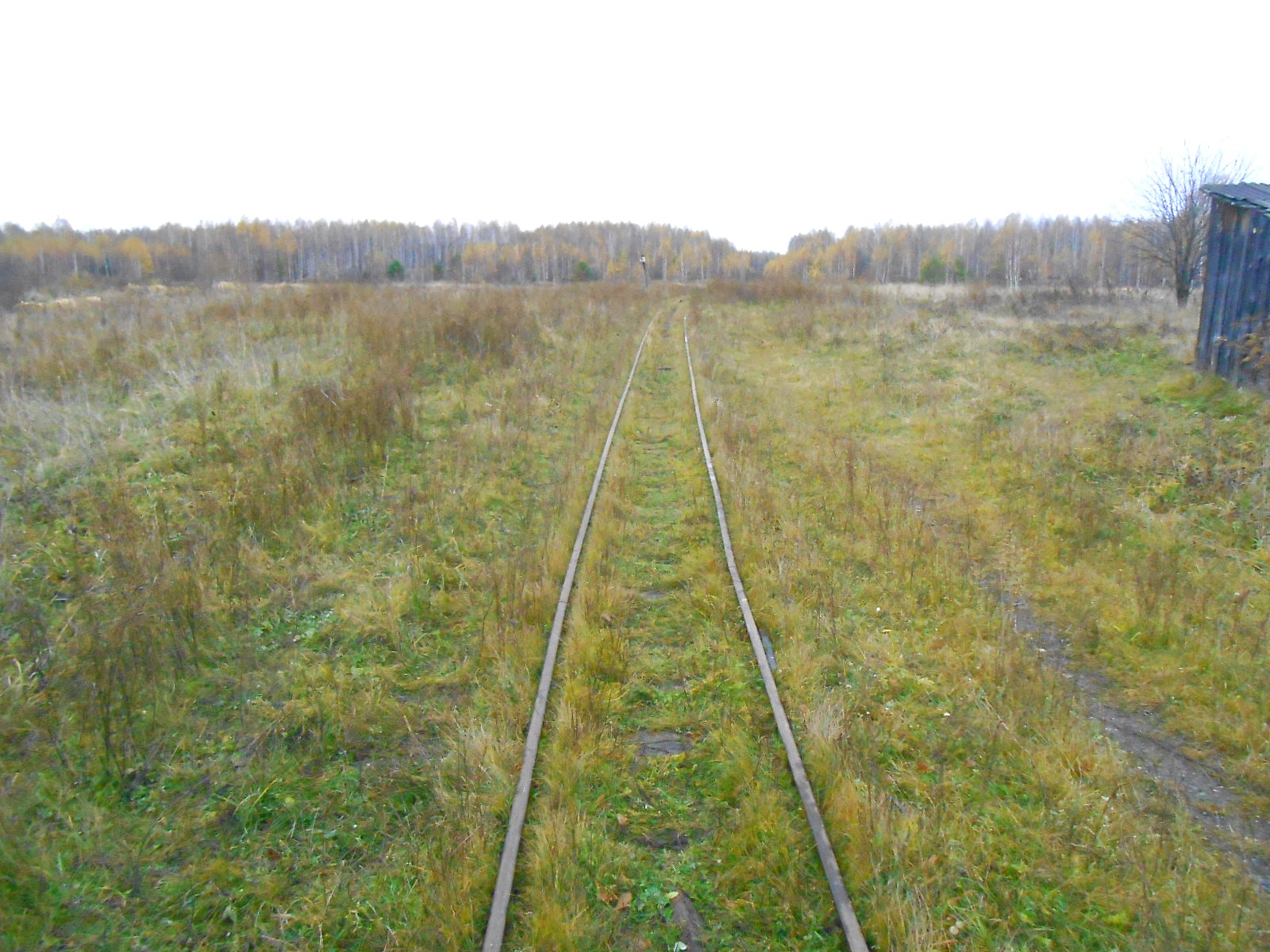 Алапаевская узкоколейная железная дорога — фотографии, сделанные в 2014 году (часть 27)