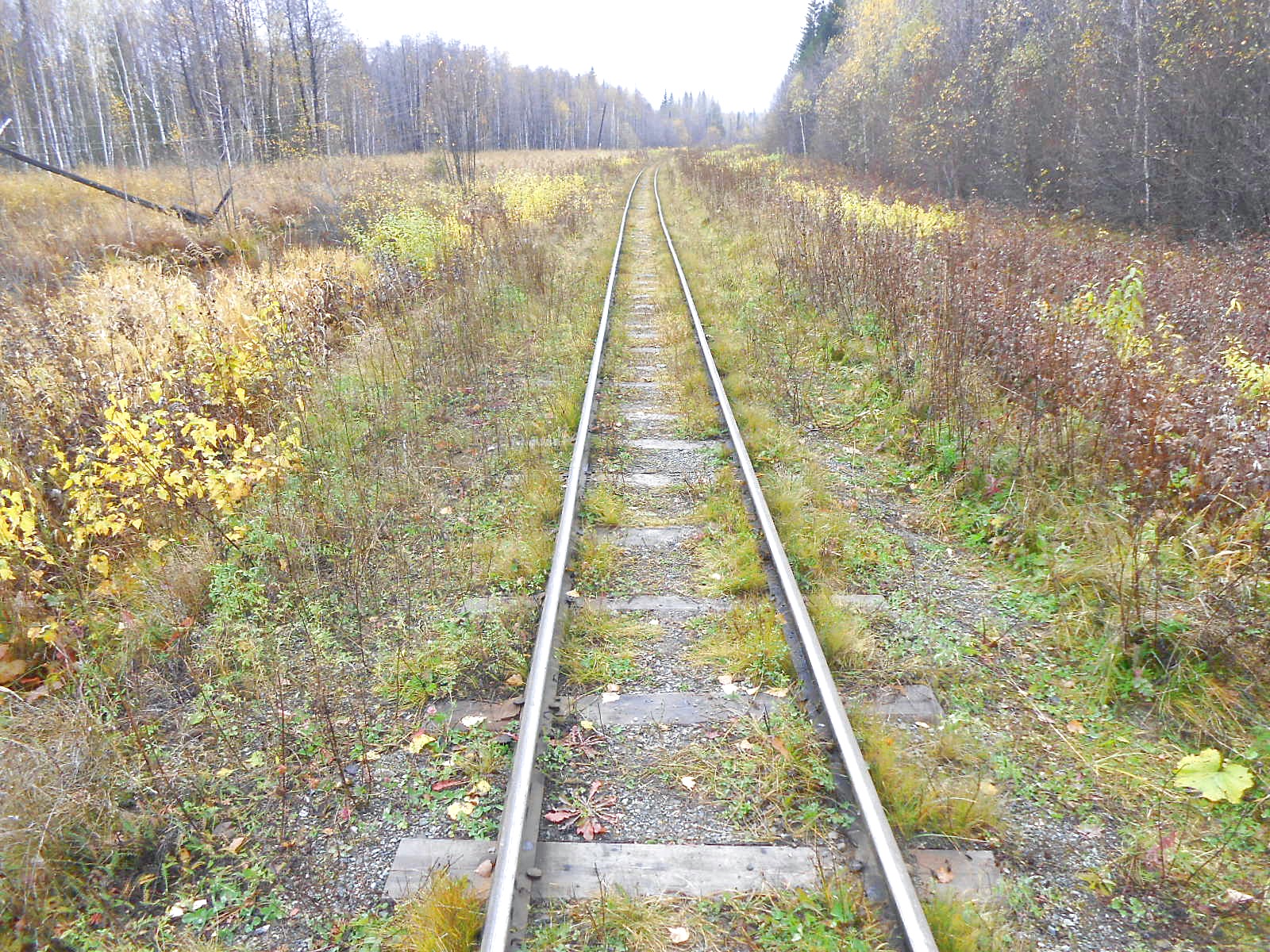 Алапаевская узкоколейная железная дорога — фотографии, сделанные в 2014 году (часть 12)