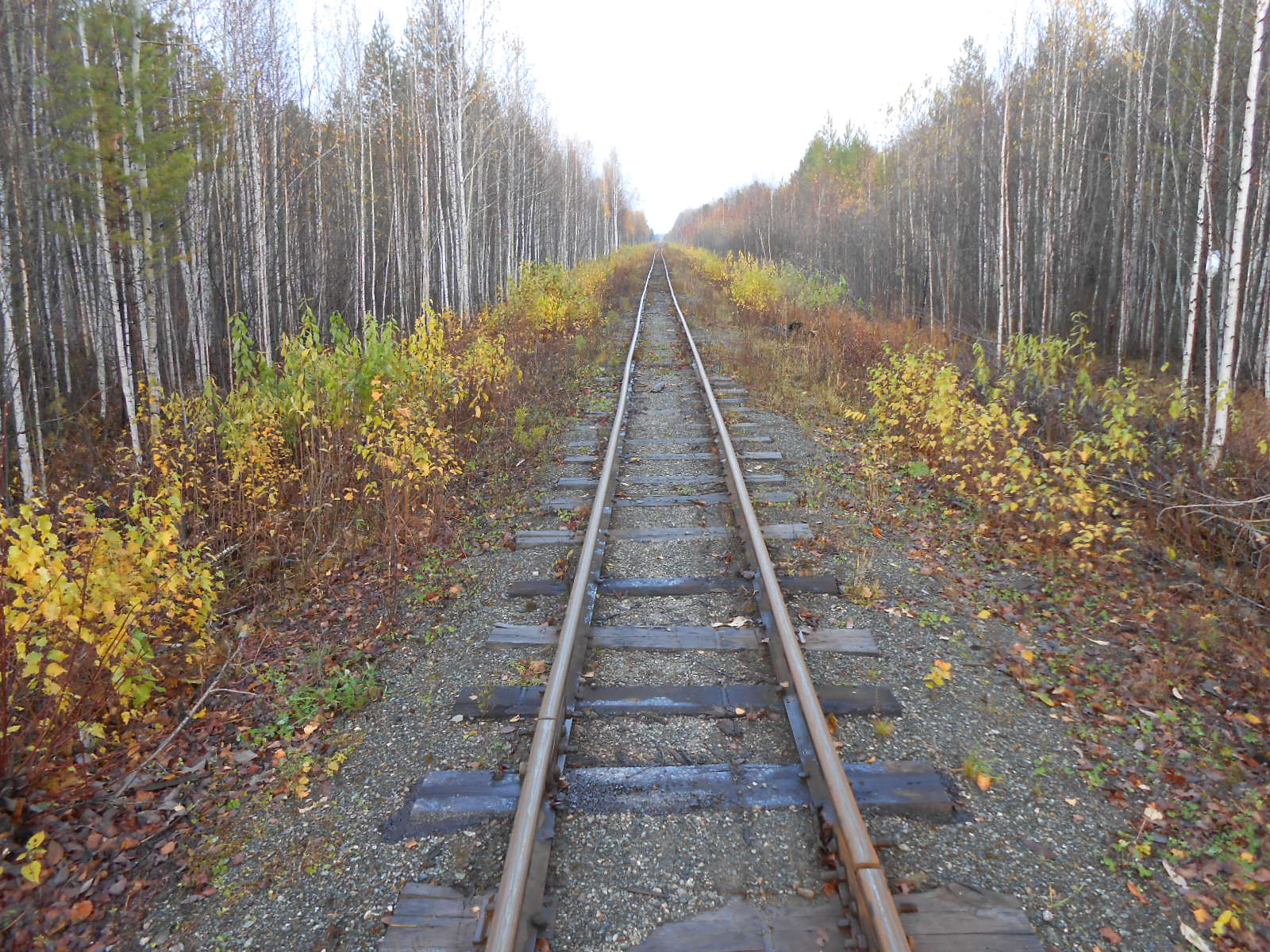 Алапаевская узкоколейная железная дорога — фотографии, сделанные в 2014 году (часть 13)