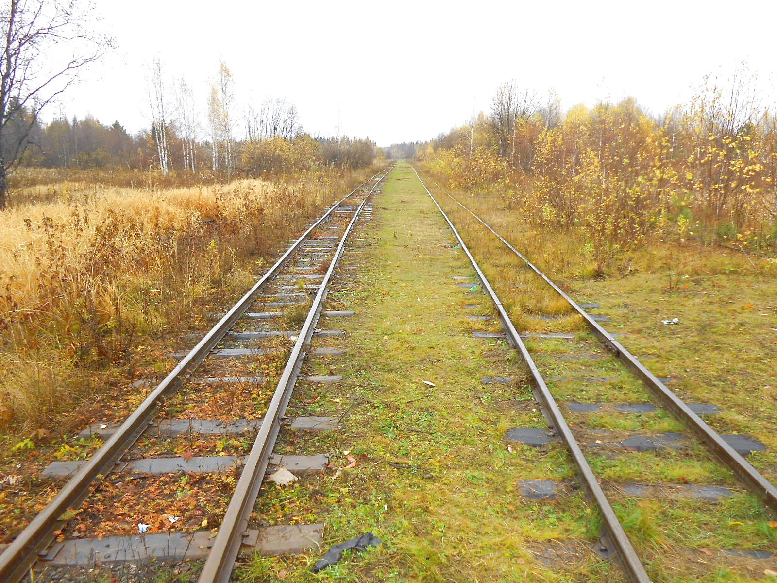 Алапаевская узкоколейная железная дорога — фотографии, сделанные в 2014 году (часть 17)