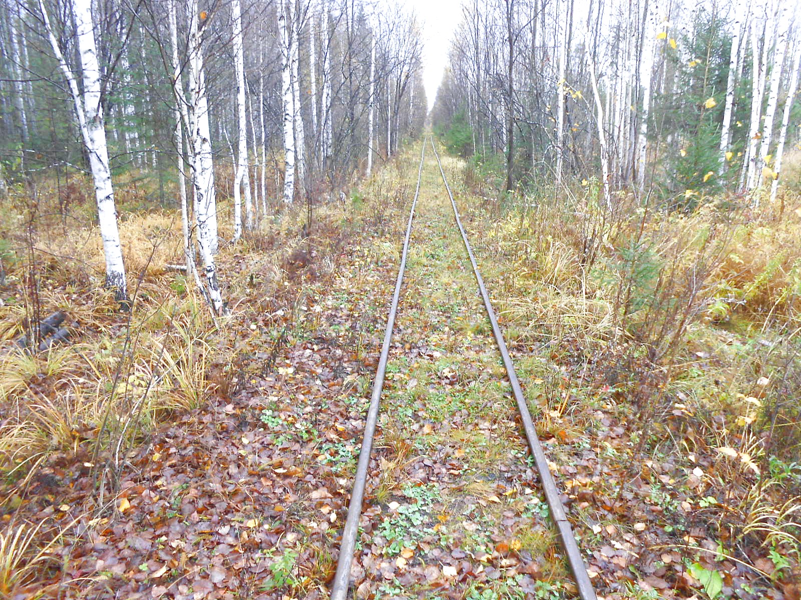 Алапаевская узкоколейная железная дорога — фотографии, сделанные в 2014 году (часть 18)