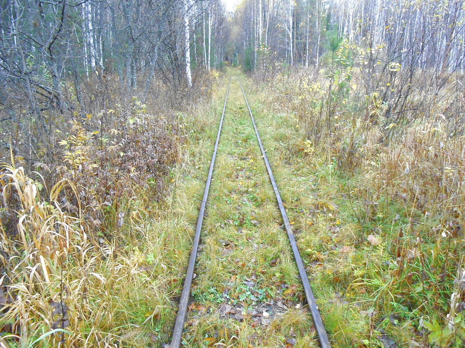 Алапаевская узкоколейная железная дорога — фотографии, сделанные в 2014 году (часть 20)