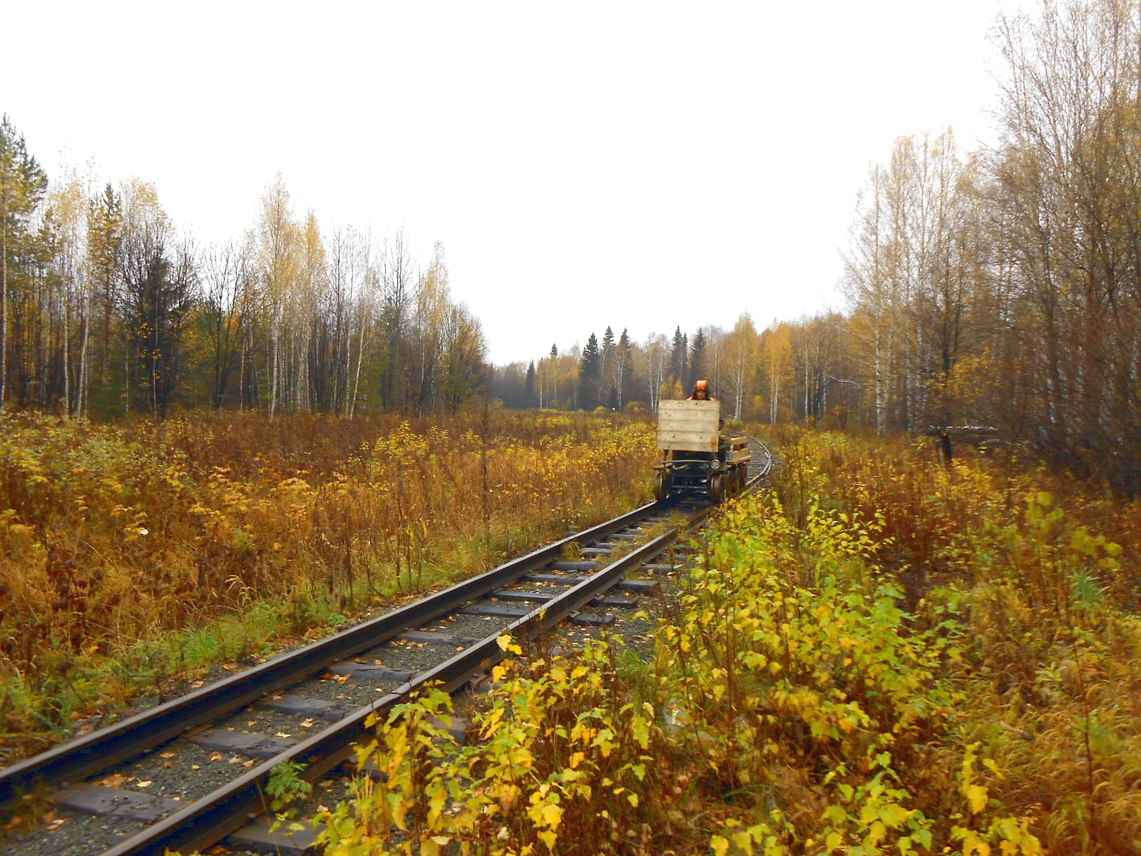 Алапаевская узкоколейная железная дорога — фотографии, сделанные в 2014 году (часть 3)