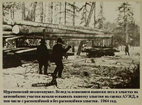 Алапаевская узкоколейная железная дорога - исторические фотографии (часть 10)