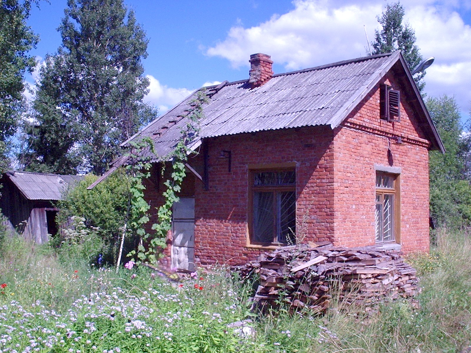 Узкоколейная железная дорога Васильевского предприятия промышленного железнодорожного транспорта  — фотографии, сделанные в 2005 году (часть 13)