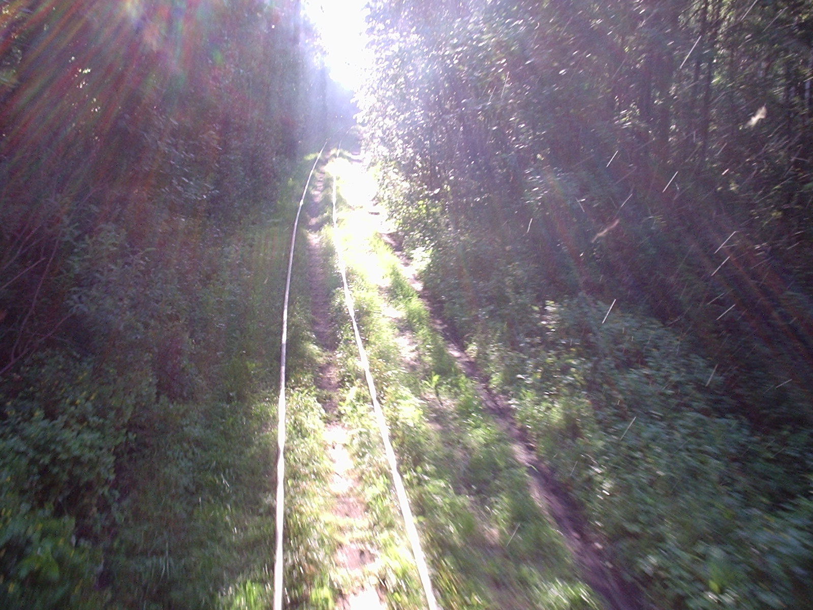 Узкоколейная железная дорога Васильевского предприятия промышленного железнодорожного транспорта  — фотографии, сделанные в 2005 году (часть 5)