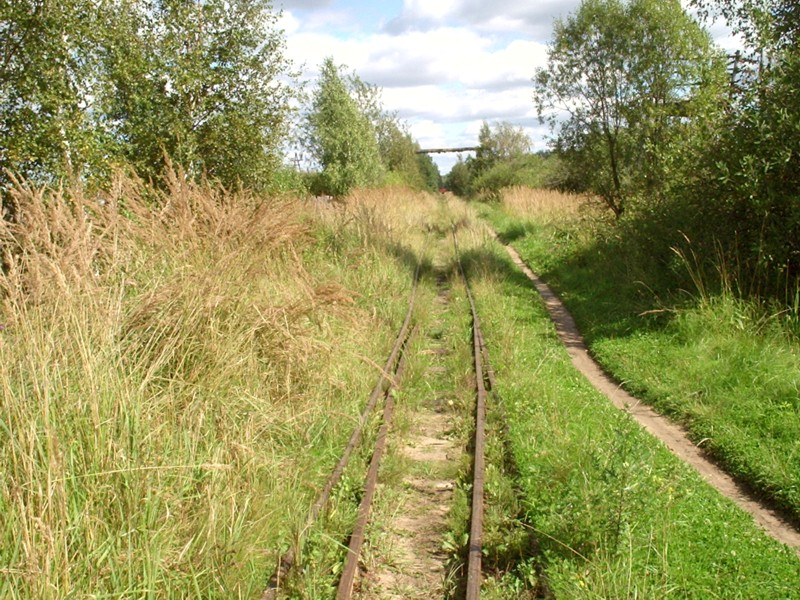 Узкоколейная железная дорога Васильевского предприятия промышленного железнодорожного транспорта  — фотографии, сделанные в 2005 году (часть 21)