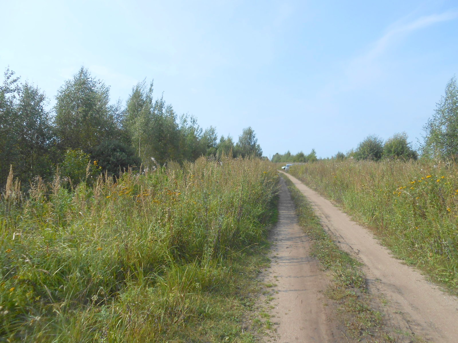Узкоколейная железная дорога Васильевского предприятия промышленного железнодорожного транспорта  — фотографии, сделанные в 2017 году